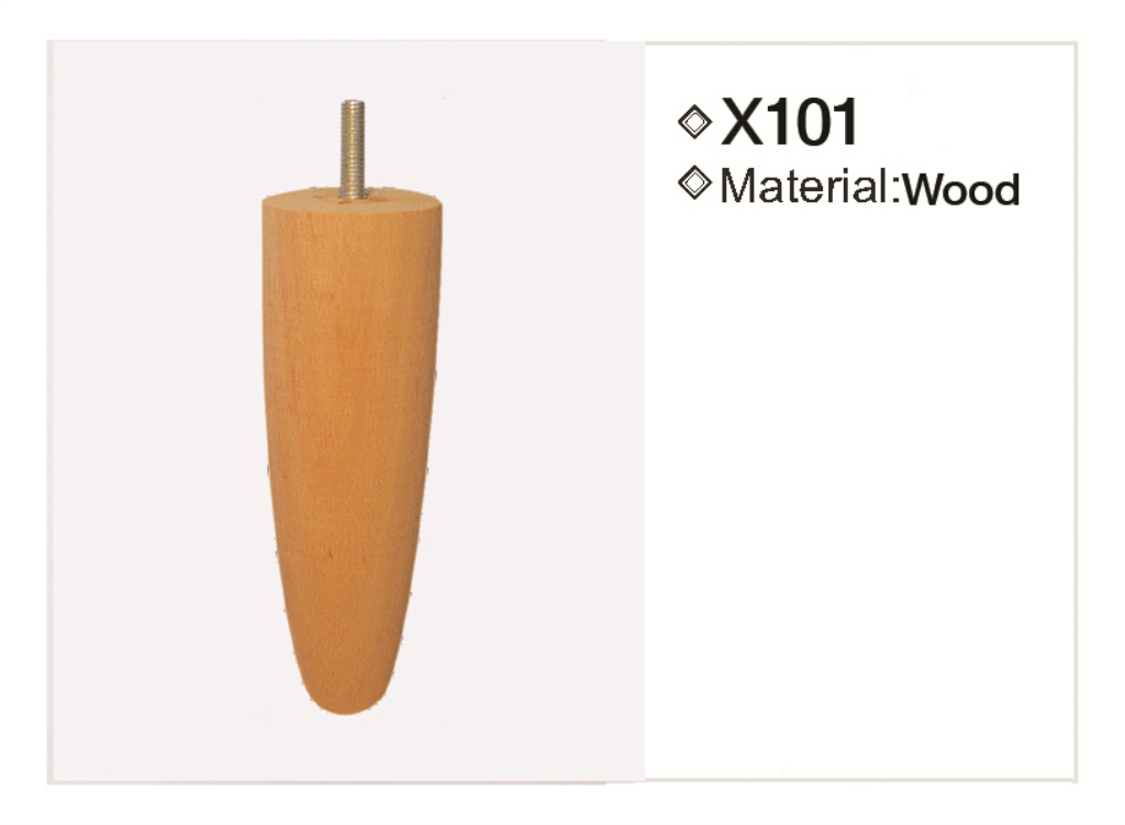 X101