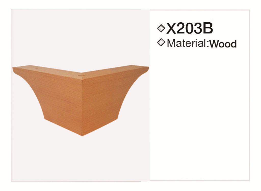 X203b