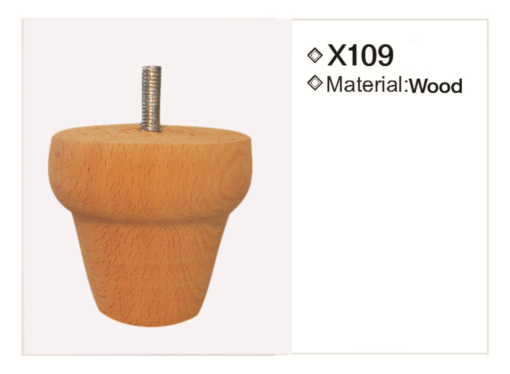 X109