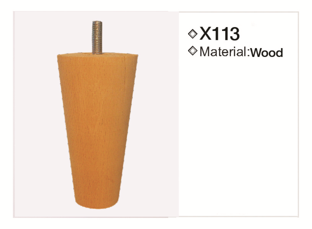 X113
