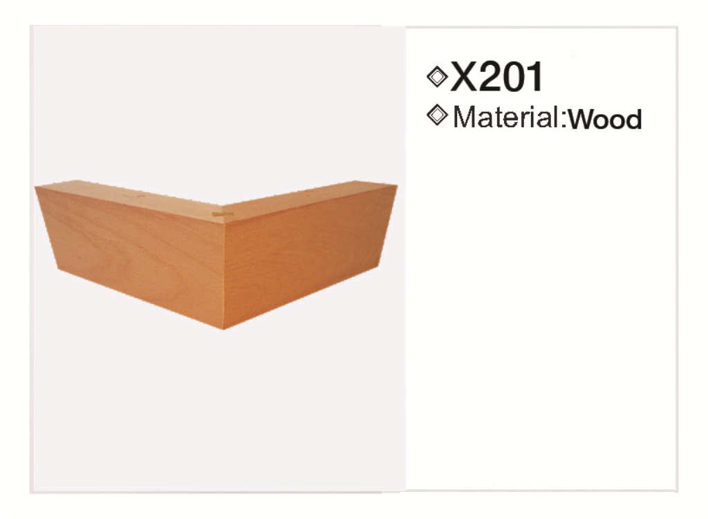 X201