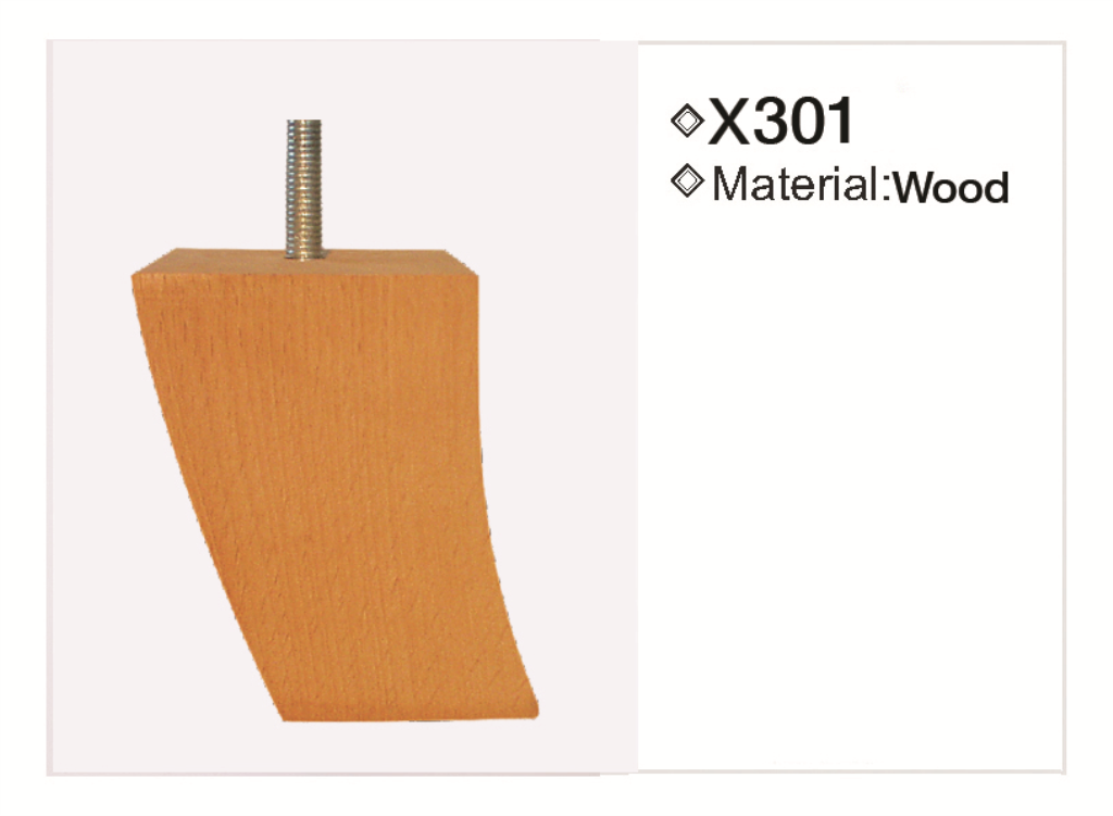 X301